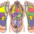 PROTIMIGRNOV MAS A REFLEXOLOGIE
